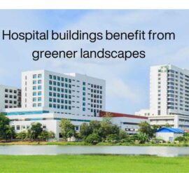 Healthcare needs to embrace environmental sustainability including greener landscapes