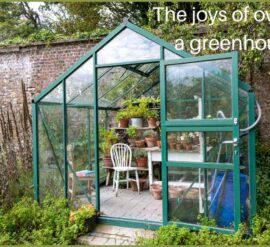 Owning a greenhouse can provide many benefits to help you lead a healthy life