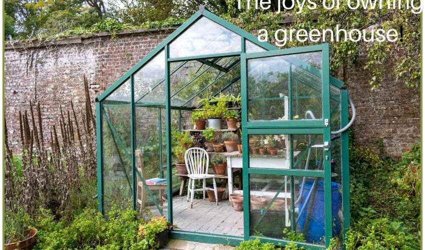 Owning a greenhouse can provide many benefits to help you lead a healthy life